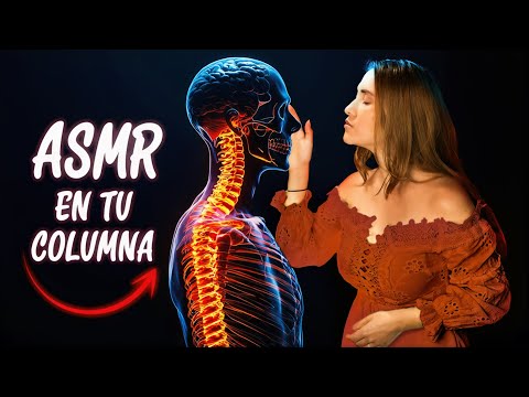 ASMR ¿Estos Sonidos Recorren Tu Columna? (Asmr sin cortes)