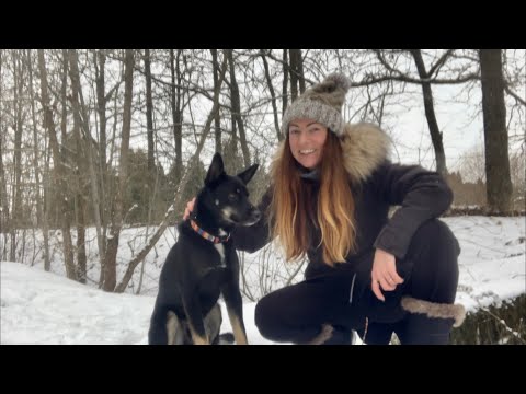 I will make you to FORGET ALL ELSE / Witchy Winter Forest walk / ASMR