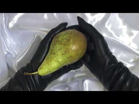 LEATHER GLOVES   手袋 👉 Long Leather Opera Gloves ❤️Whisper in Dutch👄 Fruits🎧 [[ASMR]]