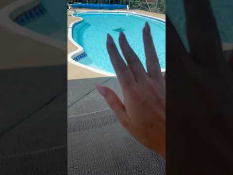 ASMR Long Nail Camera Tapping and Scratching #asmr #visualtingle #asmrcameratapping #asmrscratching