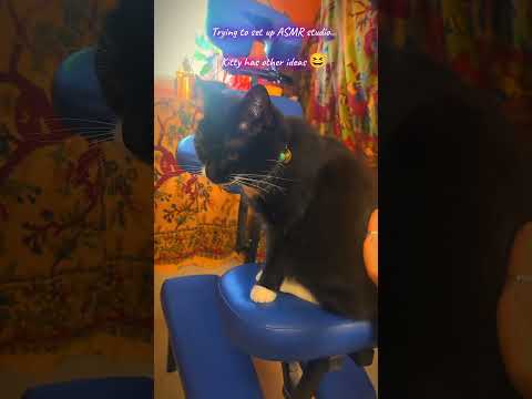 BTS ASMR Session, My cat wants to try to relax 😆🐈‍⬛💆