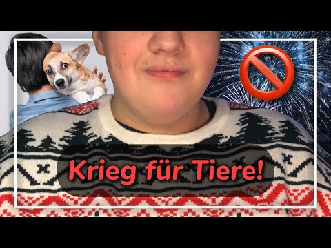 𝗔𝗦𝗠𝗥 𝗧𝗶𝗻𝗴𝗹𝗲 𝗧𝗮𝗹𝗸: Sollte Feuerwerk abgeschafft werden? JA! 🎆 (Deutsch/German) #2