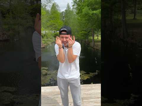 Public ASMR in Louisiana Helping Swamp Puppies Sleep!