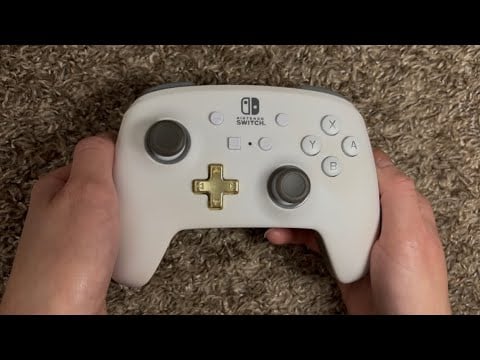 ASMR Nintendo Switch Pro Controller Button Pressing (No Talking)