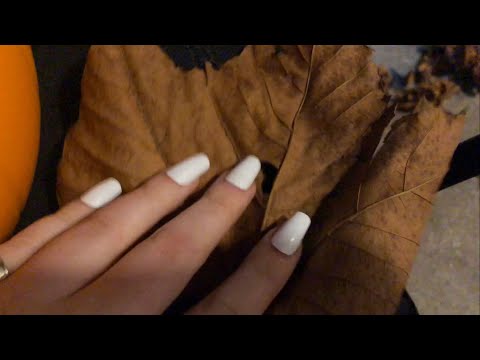 asmr crunching leaves & camera tapping (+ whispering)