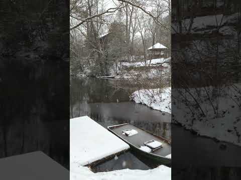 The world is so quiet with freshly fallen snow. --- Read why in the comments.