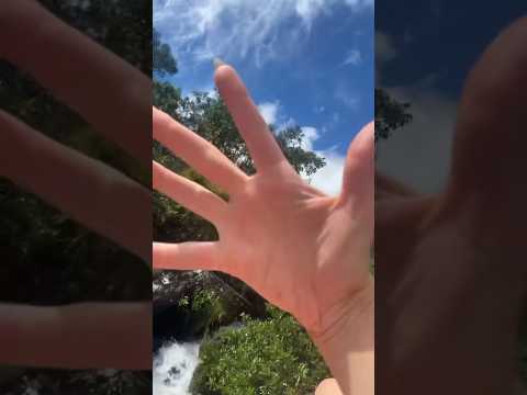 #asmr #nature #natureza #tingles #relaxing #mouthsounds