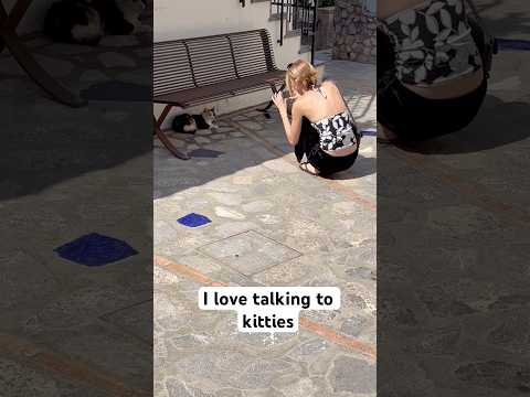#cat #catvideos #catshorts #catlovers