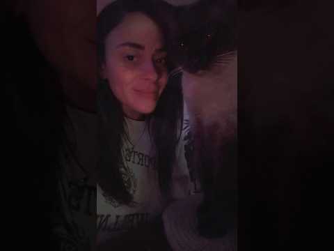 She knows secrets from the temple. 🐈‍⬛✨📚 #asmr #funny #cats #spooky #catsrule #siamese #whispers