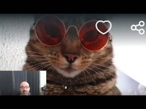 Más anuncios de Wallapop en asmr