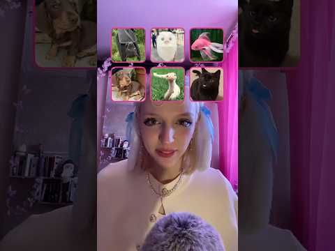 ASMR выбирашки