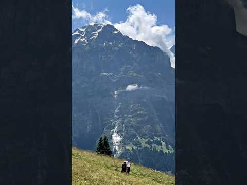 Switzerland nature😍beauty mountains travel🇨🇭#travel #switzerland #mountains #enigma #nature