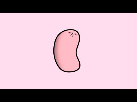 patreon appreciation livestream | nov. 2018