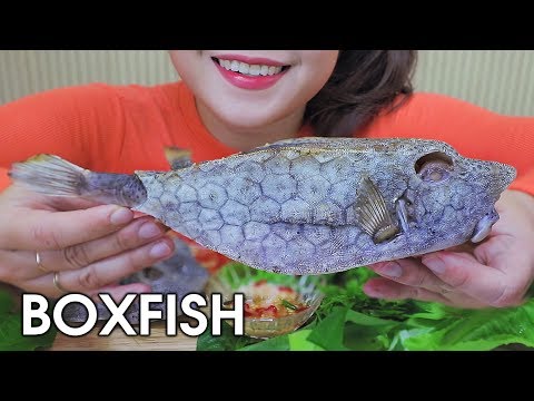 ASMR EATING GRILLED BOXFISH,EXOTIC FOOD,EATING SOUNDS | LINH-ASMR