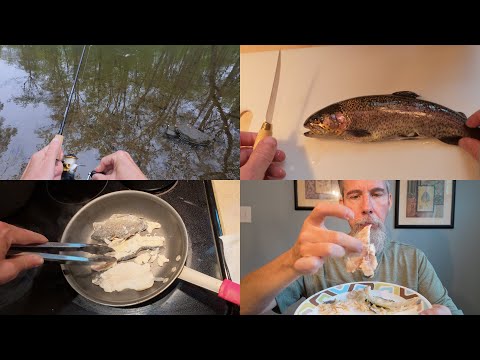 ASMR Catch Clean & Cook - First Time Eating Trout (Southeastern Pennsylvania Creek)