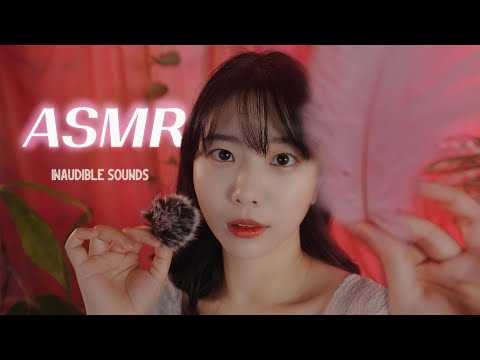 ASMR 최면같은 속삭임과 스르륵 눈이 감기는 카메라 터칭 | 인어디블 시각팅글 Brushing & Inaudible, Mouth Sounds