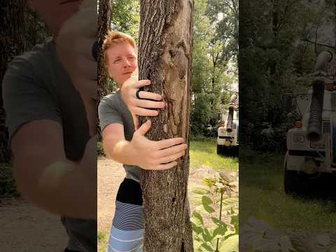 ASMR Tree Massage #asmr