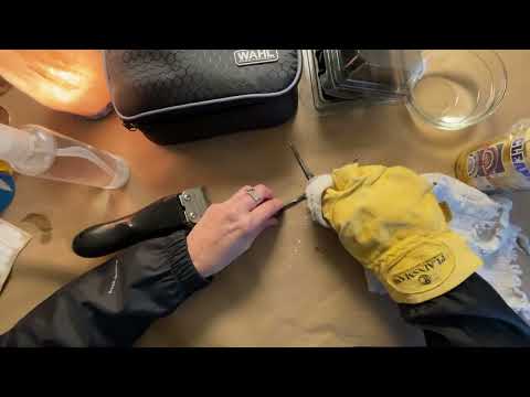 Cleaning Hair Clippers ASMR