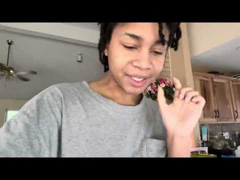 Vlog #126 - What to Expect When Expecting 2…