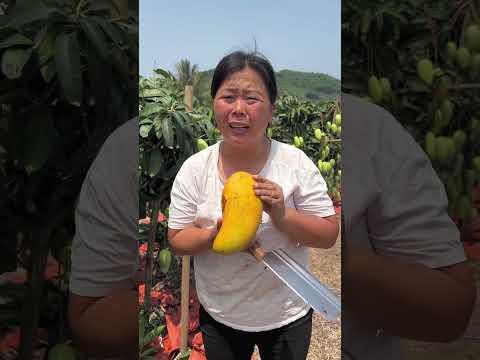 New Video