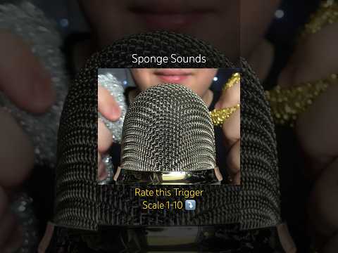 Tingly Sponge Sounds!