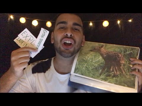 ASMR TEST DE PERSONNALITÉ ⚡️