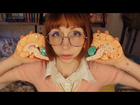 the most odd memories (asmr)