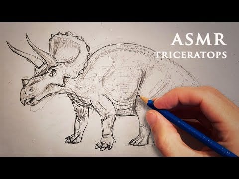 ASMR Dinosaur Drawing Triceratops 1 Hour