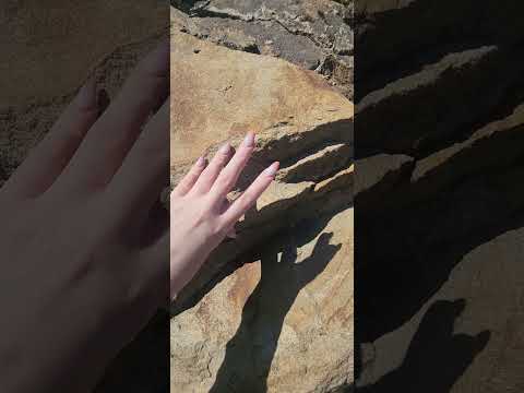 ASMR Scratching and Tapping stone #asmr #asmrvideo #asmrtriggers