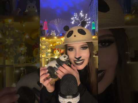🐼✨🧸 ASMR 🧸✨🐼 #asmr #panda #pandamakeup #asmrtingles #pandahat #triggers #kawaii #nounours #relax