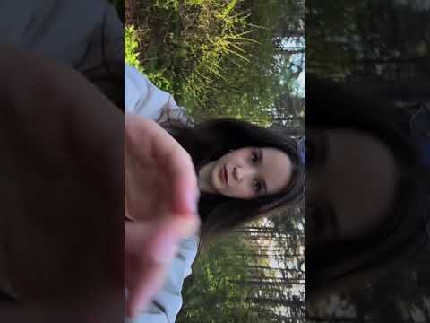 ASMR FOREST ЛЕС АСМР на улице для расслабления