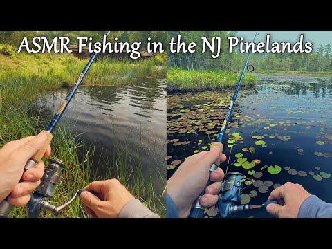 ASMR Fishing in the New Jersey Pinelands (Batsto Lake Dam & Tom's Pond) (1st Time Using Frog Lures)