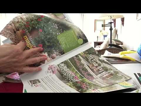 Ad-free ASMR; turning pages of magazines, (almost) inaudible whisper
