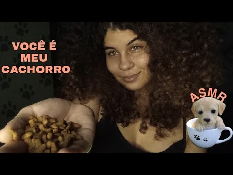 ASMR: VOCÊ É MEU CACHORRO E EU VOU TE COLOCAR PRA DORMIR