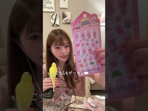 【ASMR】#シール帳紹介#作業音#囁き声#asmr