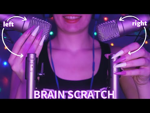 Asmr Mic Scratching - Brain Scratching | Hypnotic Asmr No Talking for Sleep with Long Nails 1H