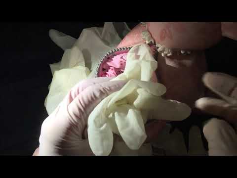 LATEX GLOVES 👉 What's in my Chihuahua👈 LATEX GLOVES LAYERING [[ASMR]]