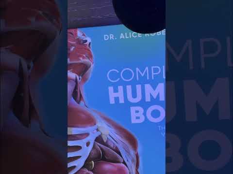 ASMR Anatomy Class pt 2 🧠 #asmr #tinglysounds #asmrtriggers #asmrvideo #mouthsounds #asmrcommunity