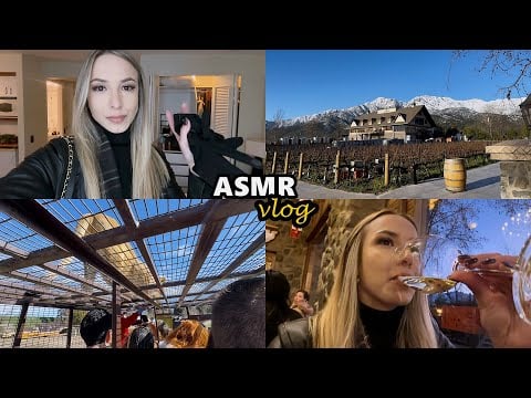 ASMR VLOG #1 VIAGEM PARA O CHILE 🇨🇱 tour pelo quarto, vinícola, Safari e muito mais..