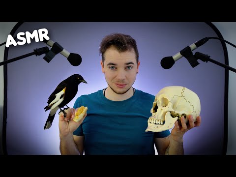 ASMR : CETTE VIDEO À LE PIRE MONTAGE VIDEO ! 🤢