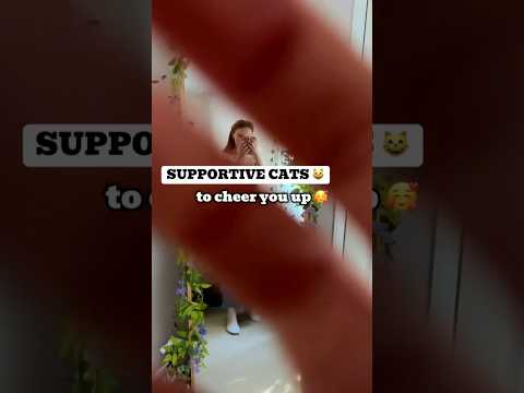 Phone camera tapping and caaats 🥰 #asmr