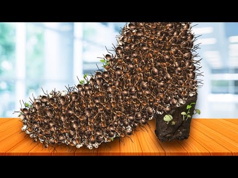 ASMR Gentle Foot Massage 🦶 | Deep Sleep Triggers & Spa Relaxation