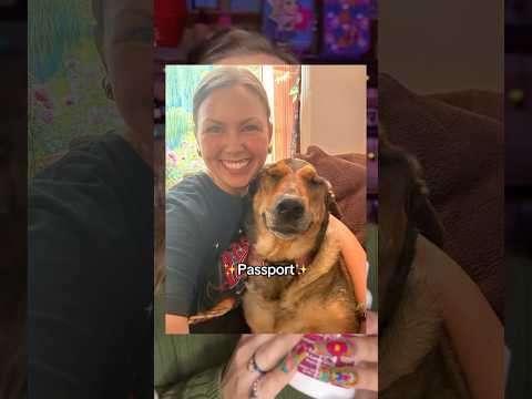 Minnesotan Accent ASMR✨ #asmr #petasmr #asmrpets #bestlifebybrooke #dog #dogs #tingles #sleepaid