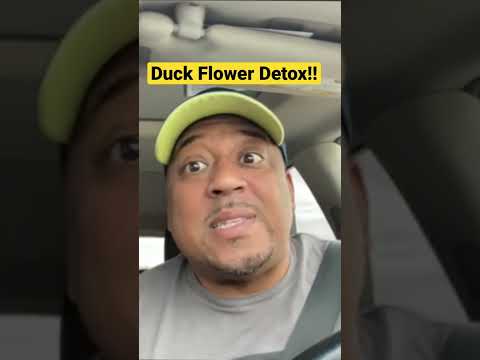 Duck Flower Detox