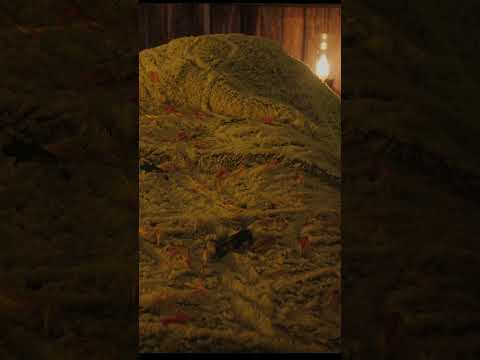 Christian ASMR Prayer for Peaceful Sleep 🌙