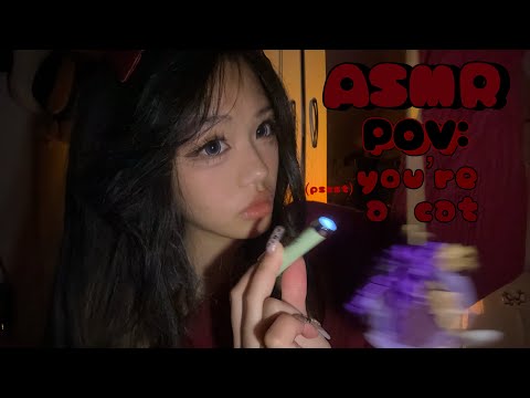 ASMR pov you’re a cat 🐈 | mouth sounds | visual light triggers | mic scratching | roleplay