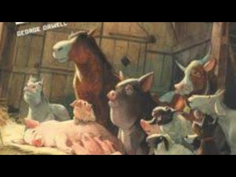 Rebelión en la granja🐷🐮🐭🐴🐱🐶🐓🐤 lectura susurrada ASMR