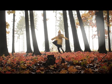 Nature ASMR - 💧Colorful forest in the RAIN💧