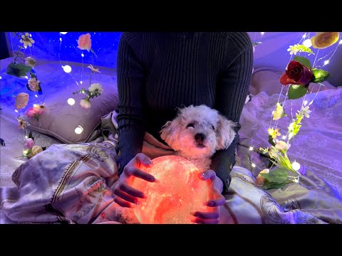 ASMR With My Dogs|Very Tingly scratching, light whispering, and layered scrunch sounds