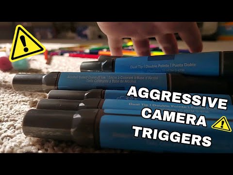 Fast and Aggressive Camera Triggers (headphones recommended) ASMR